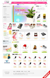 單獨(dú)開發(fā)網(wǎng)站樣式 設(shè)計(jì)流程與實(shí)施策略