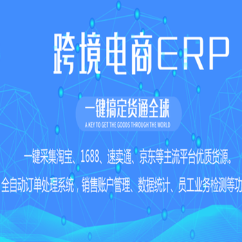 亞馬遜ERP軟件定制開發(fā),立部署,源碼授權
